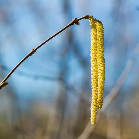 Sabina 2* Аренас-де-Сан-Педро
