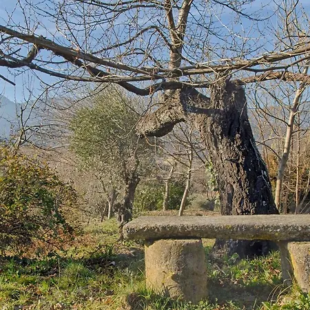 Sabina Аренас-де-Сан-Педро